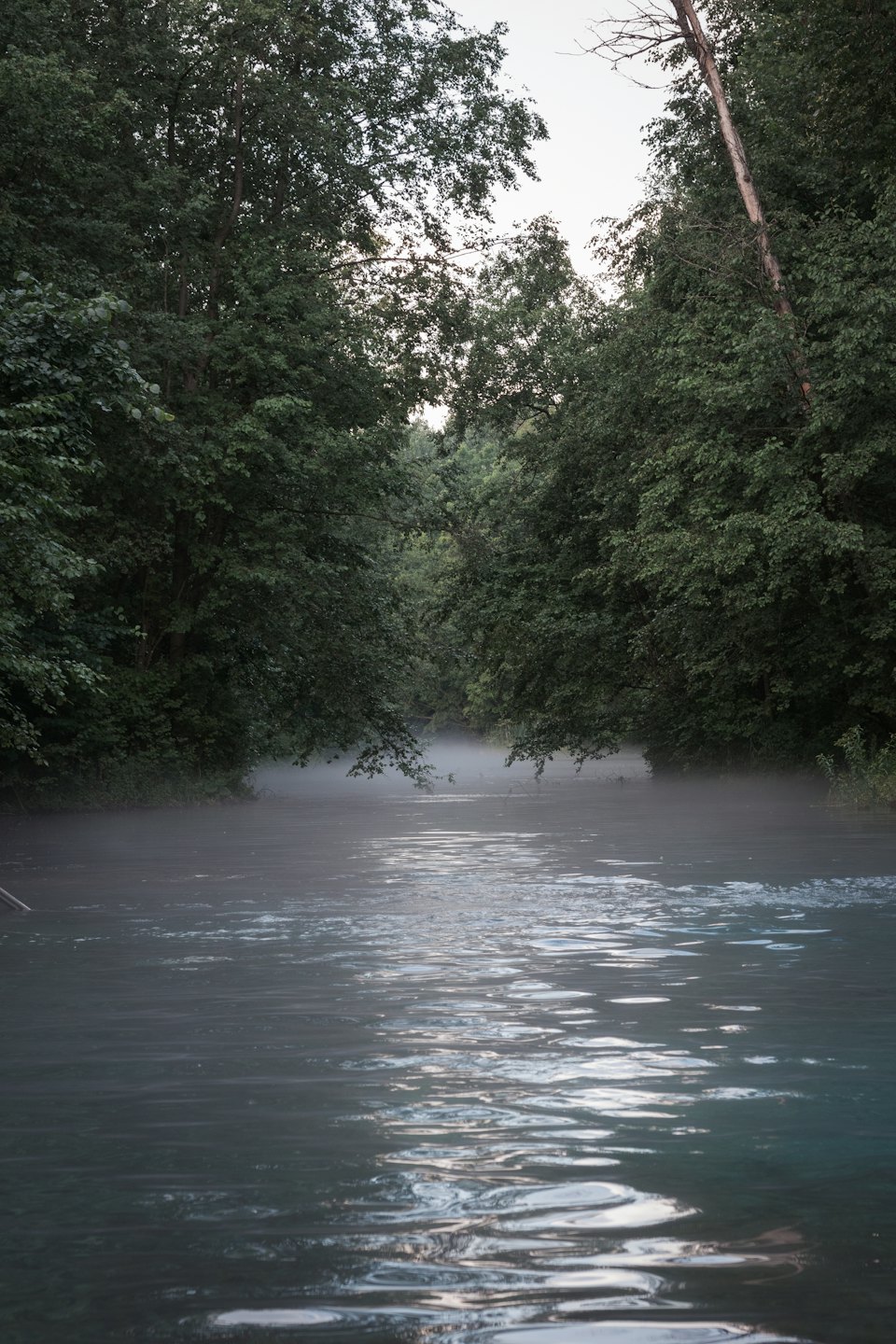 Nebel treibt über die Oberfläche eines ruhigen Flusses.